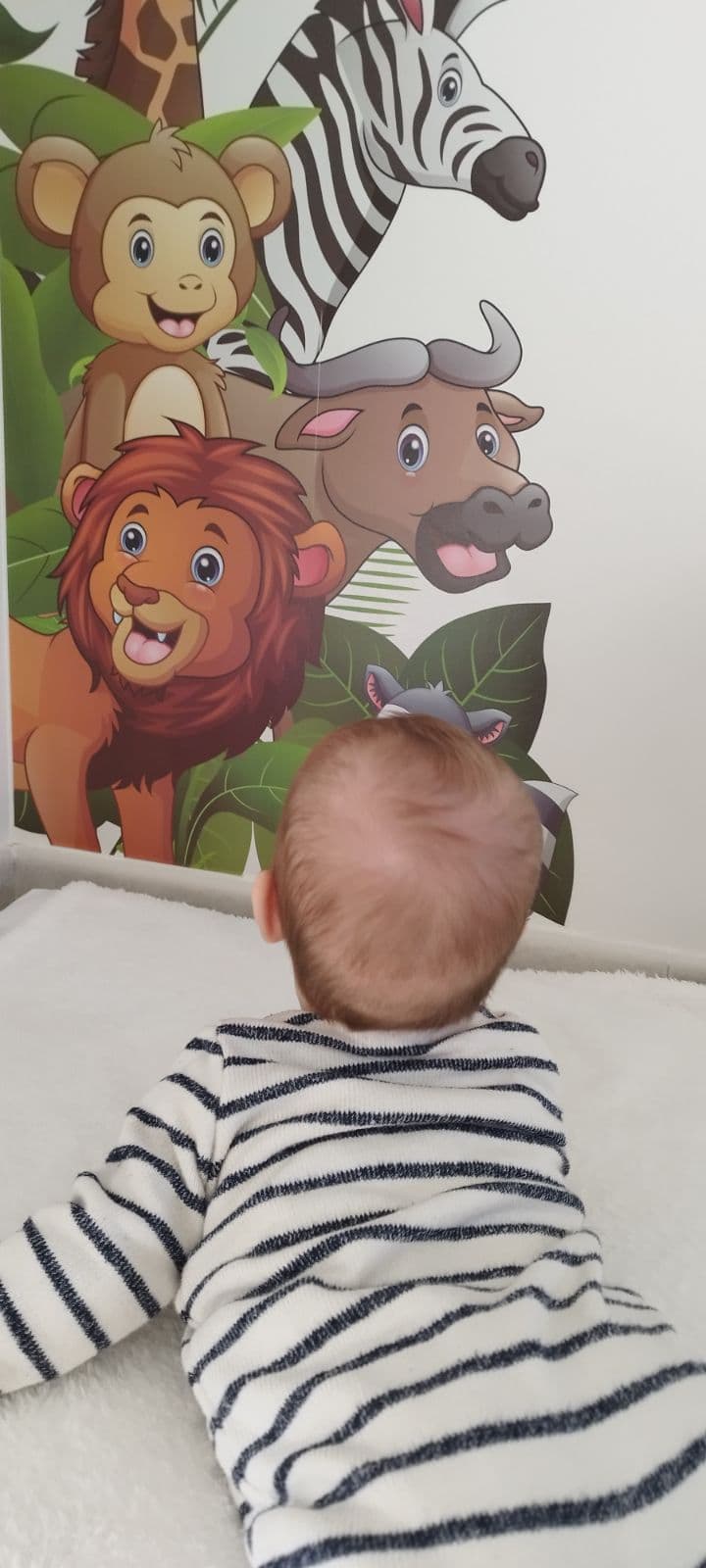 Un moment de la vie à la MAM Cocooning